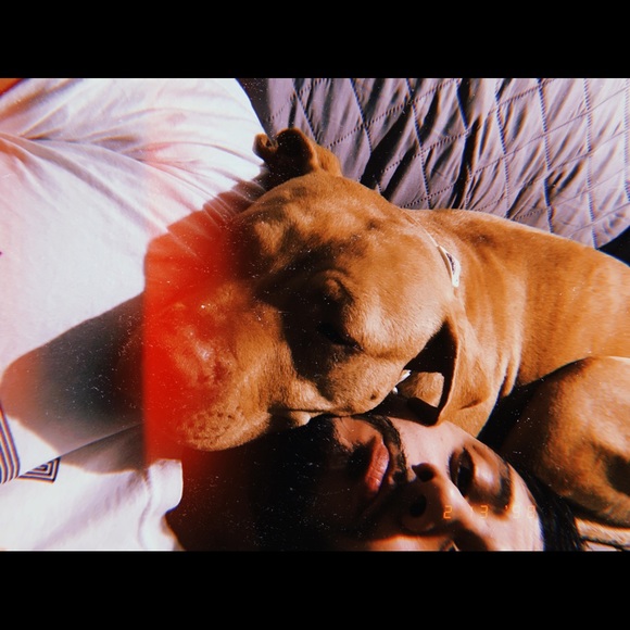 Meet your Posher, Jerry - Picture 2 of 2